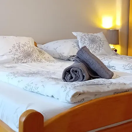 Апартаменты Home Apartman